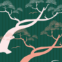 Free japanese pine tree stripe patterns